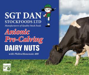Anionic Pre-Calving Dairy Nuts
