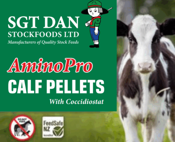 Amino Pro Calf Pellets